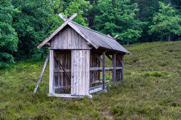 Characteristic stable for German moorland sheep with a straw roof  in the natural preserve Lueneburger Heide