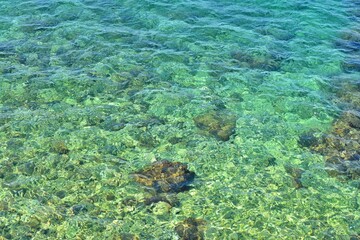 Amazing turquoise lagoon on the Adriatic sea near Rovinj old town,Istria region, Croatia, Europe. Emerald green and blue colors of Adriatic sea. Crystal clear water