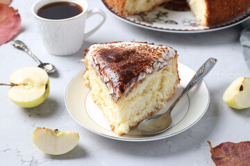 Piece of delicious homemade charlotte with apples and sour cream on a plate on light gray background. Close-up.