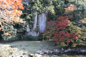 Fototapeta premium 岩壁に弥勒磨崖仏の秋