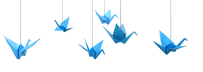 Blue origami paper birds haning isolated white