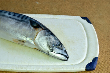 Mackerel fish lies on a cutting board.