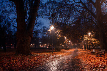 evening park alley in wroclaw in poland