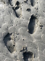 Child's footsteps in the sand on New Year's Day