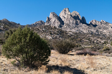 Organ Mountains from Aguirre Springs Campground.