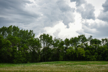Obraz premium landscape with trees and clouds