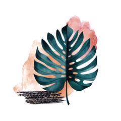 Abstract composition of tropical exotic monstera  plant, watercolor wash and graphic elements. © Evgeniya