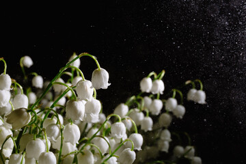 Naklejka na ściany i meble Banner with large fresh beautiful bouquet of white may-lily or lilies of the valley in rain drops isolated on black background with copy space. Water splash. Flower shop advertising or fast delivery