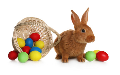 Adorable furry Easter bunny near wicker basket with dyed eggs on white background