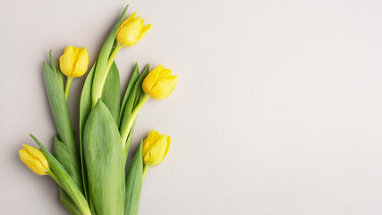 yellow tulips on a gray background, top view, spring bouquet, easter banner