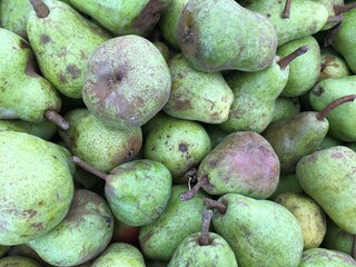 pears at the farmers market