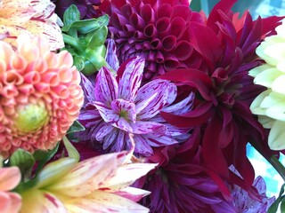 bouquet of flowers flowerscape with dahlias and zinnias 