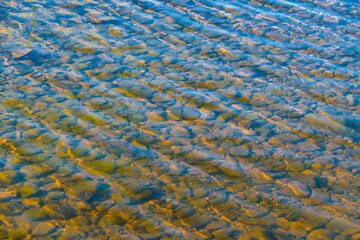 Arequita National Park, Lavalleja, Uruguay