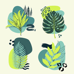 Abstract compositions of tropical plants, geometric figures and animal pattern. Vector illustartion.