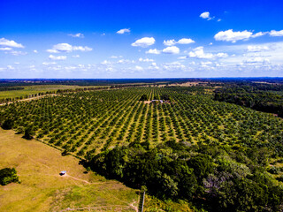 Finca productiva llano colombiano