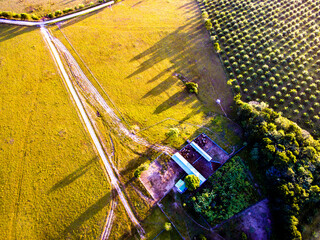 Finca productiva llano colombiano