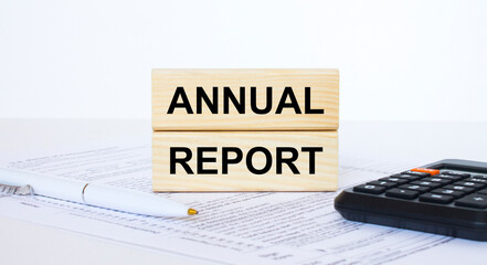 Annual Report written on wooden cubes blocks