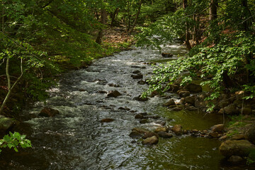 Stony Brook, Delaware Water Gap National Recreation Area, New Jersey, USA