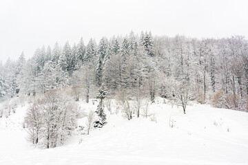 Obraz premium Winter Carpathian mountains a lot of snow and dust. Snowy winter. Ukraine, Blyznytsia