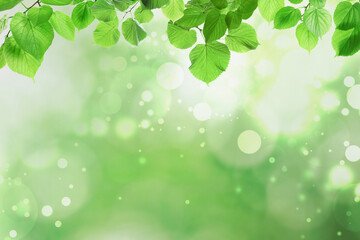 Fototapeta na wymiar Beautiful green leaves on blurred background, space for text. Spring season