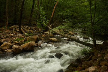 Stony Brook, Delaware Water Gap National Recreation Area, New Jersey, USA