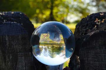 Squirrel inside a crystal ball.