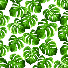 Vector tropical seamless pattern with green monstera leaves on a white background.