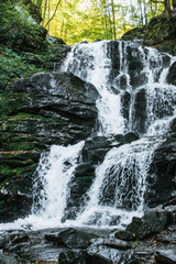 waterfall in the forest