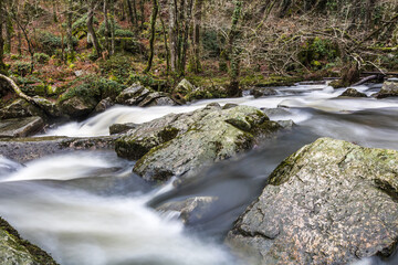 Rivière au cœur de La Fosse Arthour (Normandie, France)