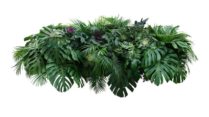 Tropical leaves foliage plant jungle bush floral arrangement nature backdrop with Monstera and...