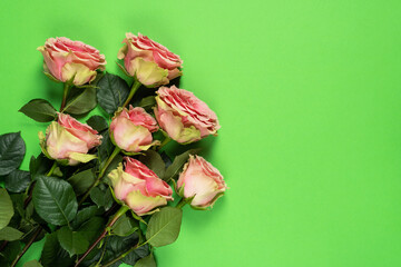 Bouquet of fresh pink roses on vivid green background. Valentine day, mother day or women day greeting card.