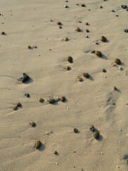 Fototapeta na wymiar Playa húmeda con rocas dispersas