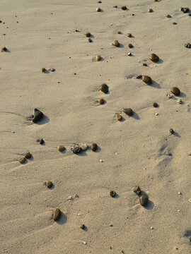 Playa h&uacute;meda con rocas dispersas