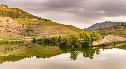 Mountain panorama of vineyards reflected in the river