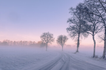 winter landscape in the fog
