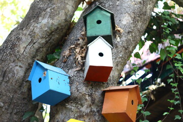 birdhouse on a tree