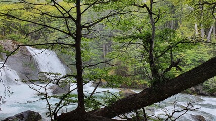 View of waterfall with lagoon