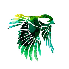 A multi-colored flying decorative bird. Picturesque tit. Vector illustration