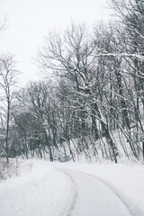 snow covered road
snowstorm in a cold winter in chicago, illinois usa 