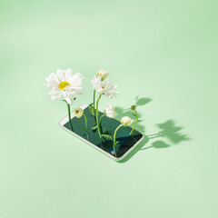 On a mint green background lies a telephone and flowers growing out of it. Technology boom.