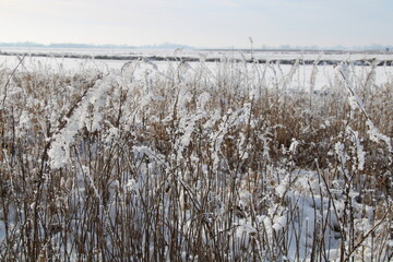 Hiking in winter after fresh snow falls, Northern Germany / Winterwanderung in Norddeutschland nach frischen Schneef&auml;llen