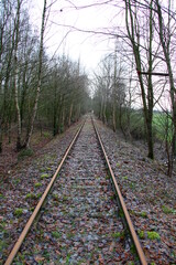 Hiking in the moor in northern Germany, train tracks