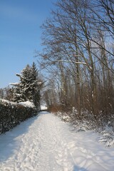 Fresh snow in winter in Leipzig, Germany
