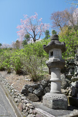 春の善峯寺　登楼と桜　京都市