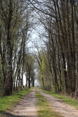 Hiking in northern Germany in winter time / Wander in Norddeutschland im Winter