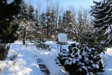 Snow in winter, Germany