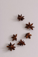 star anise on a white background