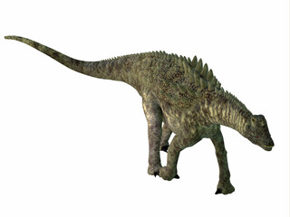 Ampelosaurus Dinosaur Armor - Ampelosaurus was an armored sauropod herbivorous dinosaur that lived in Europe during the Cretaceous Period.