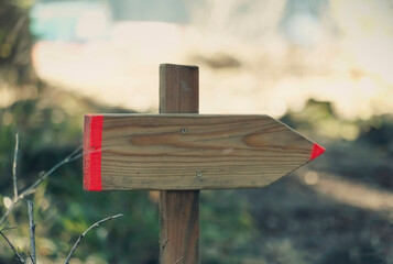A blank wooden arrow-shaped signpost in the middle of a forest.
