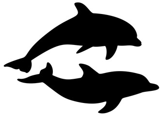 Sea dolphins in the set. Dolphin jump.